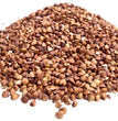 Roasted Buckwheat